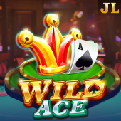 Wild Ace bigwin casino slot